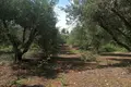 Land  Stylos, Greece