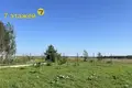 Ferienhaus 150 m² Turynski sielski Saviet, Belarus