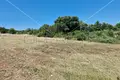 Atterrir 2 746 m² Marcana, Croatie