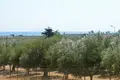 Land 1 100 m² Nafplion, Greece