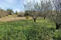 Land 1 room  Settlement "Vines", Greece