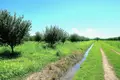 Działki  Kvareli, Gruzja