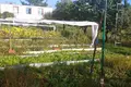Grundstück  Astrosycki sielski Saviet, Belarus