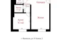 Apartamento 1 habitación 31 m² Fanipol, Bielorrusia