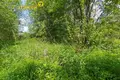 Land  Bialarucki sielski Saviet, Belarus