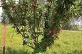 Cottage 136 m² Lasanski selski Savet, Belarus