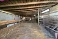 Haus 346 m² Pievenai, Litauen