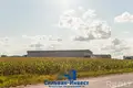 Warehouse 1 466 m² in Dziarzynski sielski Saviet, Belarus