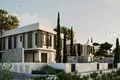 4 room villa 216 m² Ayia Napa, Cyprus