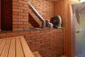 Ferienhaus 250 m² Navapolski sielski Saviet, Belarus