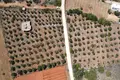 Parcelas  Grecia, Grecia