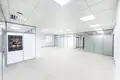 Office 160 m² in Minsk, Belarus