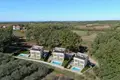 Villa de tres dormitorios 150 m² Brtonigla, Croacia