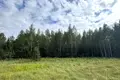 Parcelas  Dziescanski sielski Saviet, Belarús
