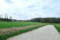 Atterrir 6 941 m² Konarskie, Pologne
