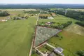 Atterrir 12 000 m² Dabrowka Lesna, Pologne