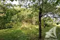 Земельные участки  Мухавецкий сельский Совет, Беларусь