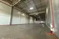Nieruchomości komercyjne 3 pokoi 6 000 m² w Grenes, Łotwa