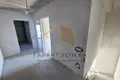 Szeregowiec 196 m² Telminski sielski Saviet, Białoruś