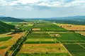 Now available for sale! A new wine factory complex in Kakheti, Telavi Municipality, in the village of Napareuli
