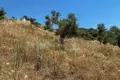 Land 6 662 m² Nikiti, Greece
