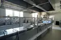 Commercial property 3 rooms 350 m² in Warsaw, Poland