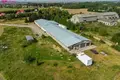 Propriété commerciale 1 000 m² à Kriauciskes, Lituanie