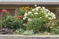 2 room apartment 55 m² Zelenogradsk, Russia