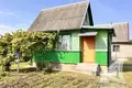 Haus 24 m² Skoki, Belarus