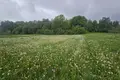 Land  Cackava, Belarus