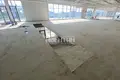 Propiedad comercial 300 m² en Novosaratovka, Rusia