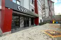 Doppelhaus 5 Zimmer 300 m² Yaylali, Türkei