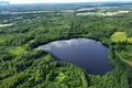 Land  Petrauskai, Lithuania