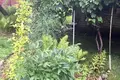 Дом 39 м² Руденский сельский Совет, Беларусь