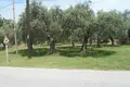 Land  Skala Sotiros, Greece