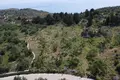 Parcelas  Kefalas, Grecia