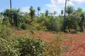 Atterrir 1 m² District de Carapegua, Paraguay