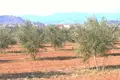 Land 4 300 m² Peloponnese Region, Greece