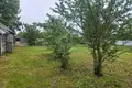 Haus 47 m² Holacki sielski Saviet, Belarus