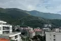 Nieruchomości komercyjne 29 m² Czarnogóra, Czarnogóra