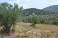 Land 6 750 m² Peloponnese Region, Greece