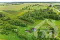 Haus 43 m² Ilya, Belarus