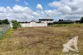Land  Carnaucycki sielski Saviet, Belarus