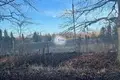 Land  Bagrationovsky District, Russia