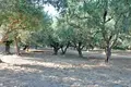 Land 1 room 4 500 m² Vineyards, Greece