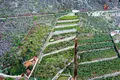 Wohnung 29 520 m² Buenavista del Norte, Spanien
