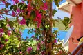 7 bedroom villa 300 m² Sivota, Greece