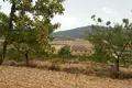 Grundstück  el Fondo de les Neus Hondon de las Nieves, Spanien