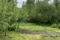 Haus 49 m² Saslauje, Belarus