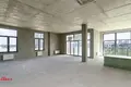 Wohnung 5 zimmer 161 m² Minsk, Belarus